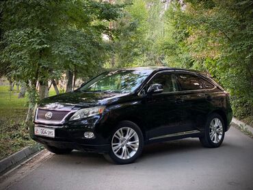 lexus rx 300 гибрид: Lexus RX: 2010 г., 3.3 л, Вариатор, Гибрид, Кроссовер