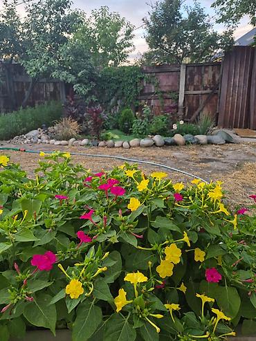 Долгосрочная аренда домов: 30 м², 1 комната, Парковка — 12