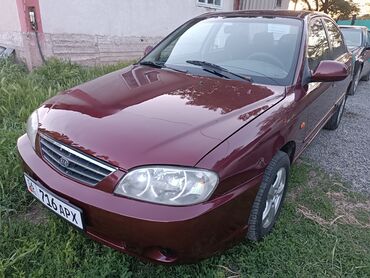 купить киа спектра: Kia Spectra: 2006 г., 1.6 л, Механика, Бензин, Седан