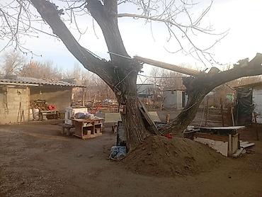 Продажа коттеджей и домов: Срочно сатылат Уй 6. сотик. Кызыл китеби бар бардык шарттары бар — 8