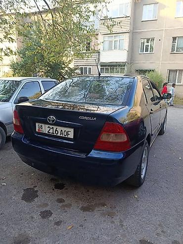 daewoo matiz 1: Toyota Corolla: 2003 г., 1.6 л, Механика, Бензин, Седан — 3
