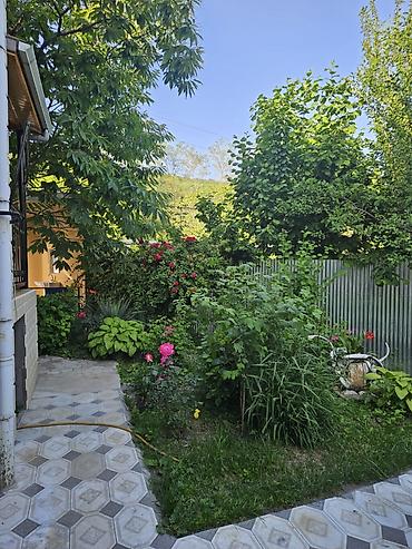 ремонт компьютеров выезд на дом: Bağ evi kirayə verilir. Azərbaycanın dilbər guşələrindən biri olan — 6
