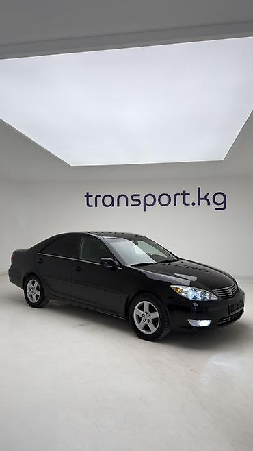 Toyota: Toyota Camry: 2005 г., 2.4 л, Автомат, Бензин, Седан — 3