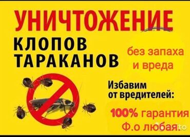 Дезинфекция, дезинсекция: Дезинфекция, дезинсекция, | Клопы, Блохи, Тараканы, | Транспорт, Офисы, Квартиры — 6