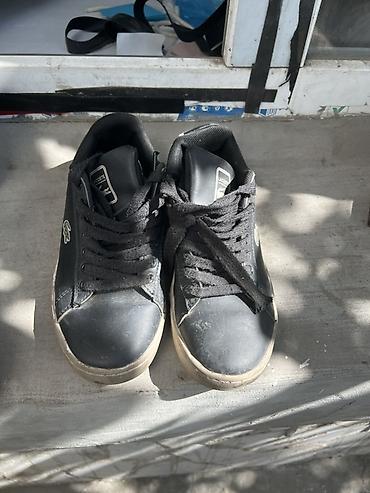 Мужские кроссовки, 34.5, Lacoste, Б/у, цвет - Черный at lalafo.kg Мужские кроссовки, 34.5, Lacoste, Б/у, цвет - Черный