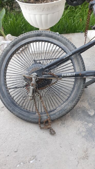 шины для велосипедов: Everest в плохом састаяний шины идеальные не стёртые