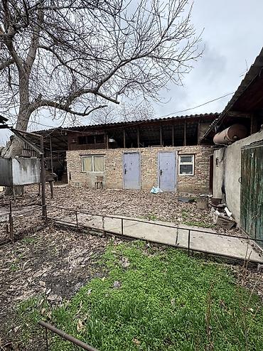 Продажа коттеджей и домов: ✨Продаётся дом в г. Шопоков✨ 🏡Характеристики: • Участок - 7 соток • — 5