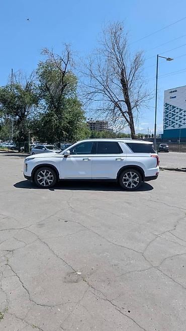 чехол чанган: Hyundai Palisade: 2020 г., 2.2 л, Робот, Дизель, Кроссовер — 6