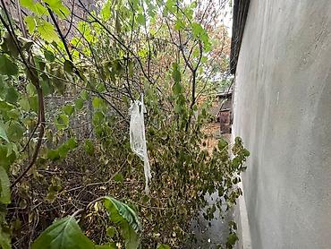 Продажа участков: 5 соток, Для строительства, Красная книга, Тех паспорт, Договор купли-продажи — 7