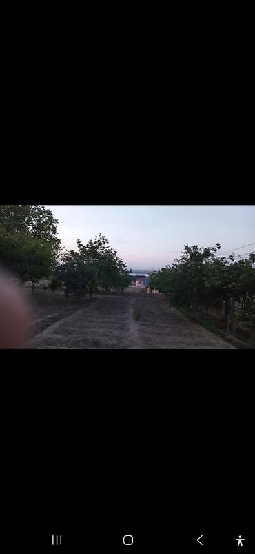 tovuzda: 3 sot, Tikinti, Mülkiyyətçi, Kupça (Çıxarış) — 2