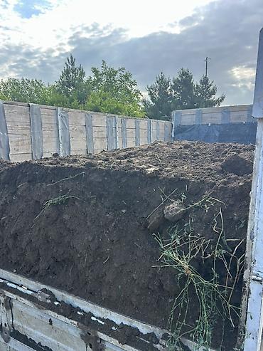 tut aragi satilir: Məhsul: Torpaq və üzvi qarışıq (bağ və landşaft işləri üçün) Təsvir — 2