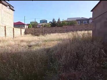 Torpaq sahələrinin satışı: 3 sot, Mülkiyyətçi, Kupça (Çıxarış) — 13