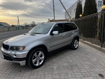 BMW: BMW X5: 2003 г., 4.4 л, Автомат, Бензин, Внедорожник