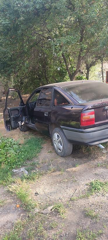 e klass: Opel Vectra: 1992 г., 1.8 л, Механика, Бензин, Хэтчбэк — 2