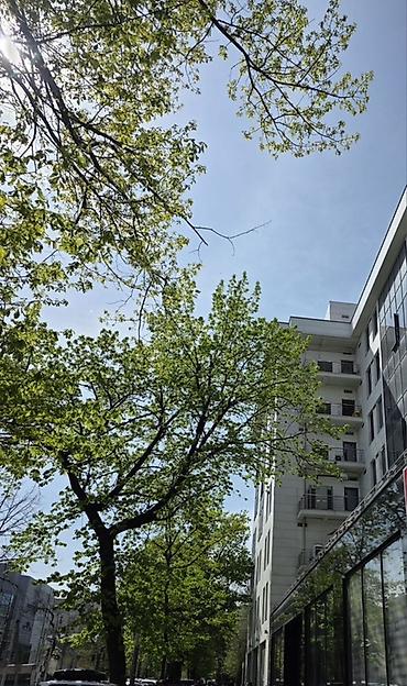 строй парк: Сдается в аренду Подземное парковочное место в современном — 4