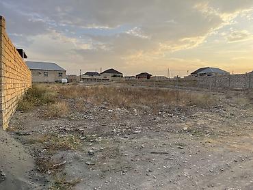 ilisu torpaq satilir: 4 sot, Tikinti, Mülkiyyətçi, Kupça (Çıxarış) — 2