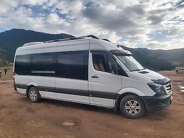 sprinter 2 2: Бус на заказ! Бус в аренду! Бус рекс!Бус дельфин!Бус на прокат с — 9