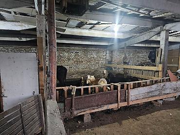Продажа дач: Продажа дач at lalafo.kg — 4 Продажа дач: Продажа дач — 4