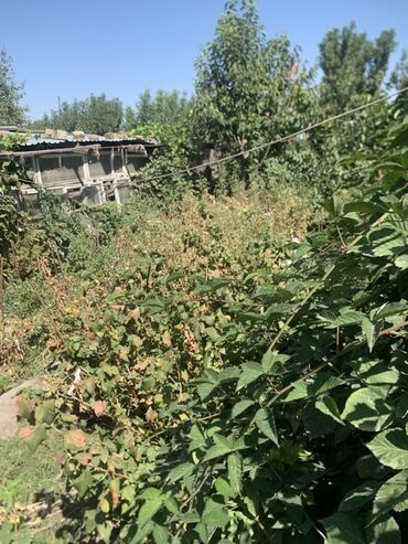 Продажа домов: Дом, 92 м², 5 комнат, Собственник, Старый ремонт — 19