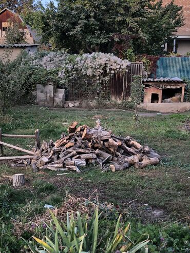 дача самшит: Дрова Орех, Самовывоз, Платная доставка