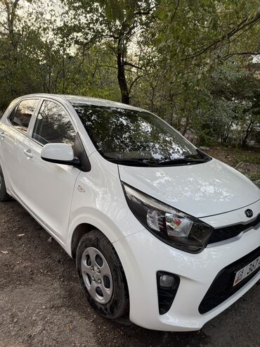 Kia: Kia Morning: 2019 г., 0.9 л, Автомат, Бензин, Хэтчбэк — 7