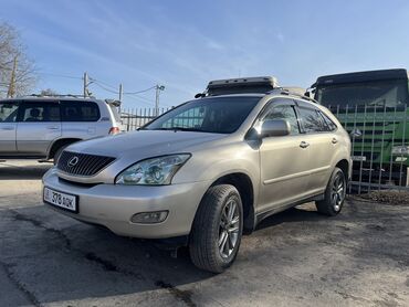 Lexus: Lexus RX: 2004 г., 3 л, Автомат, Бензин