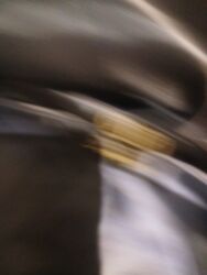 Paltolar: Palto, One size, rəng - Qara — 8