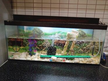 Akvariumlar: Tam komplekt akvarium seti - Şüşə akvarium, üst qapaqlı - Daxili — 8
