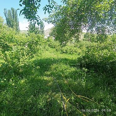 Продажа коттеджей и домов: Предлагается к продаже дом с прилегающим земельным участком. Дом — 8