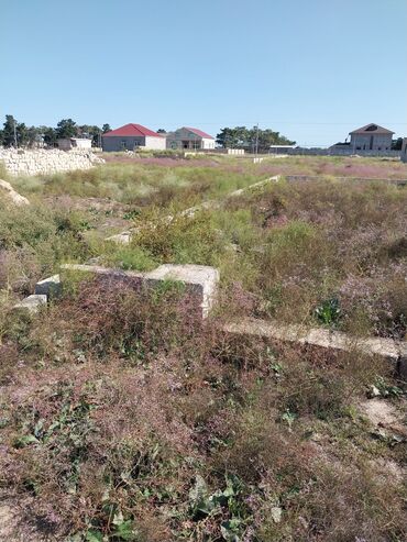 sabuncu qesebesinde satilan evler: 2 sot, Tikinti, Makler, Kupça (Çıxarış)