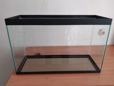 bitkilər: Şüşə akvarium - Material: şəffaf qalın şüşə, üst və alt hissədə