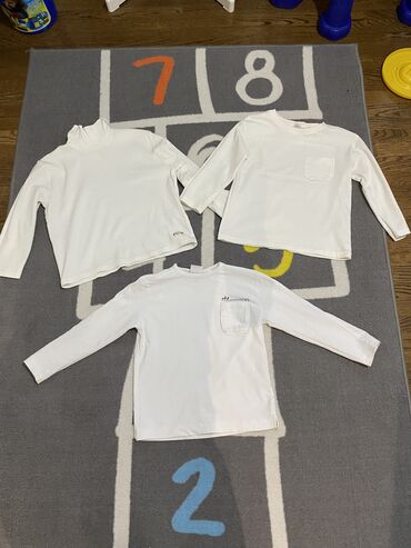 majice kratkih rukava za decake: Zara, Okrugli izrez, Dug rukav, 104-110