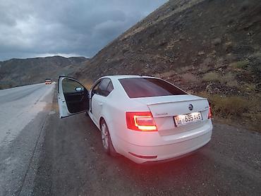 octavia: Skoda Octavia: 2017 г., 1.6 л, Автомат, Бензин, Лифтбек — 6