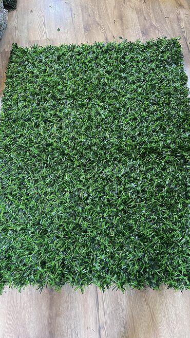 Bağ və bostan üçün digər məhsullar: 19 man baslayan qiymetler — 5