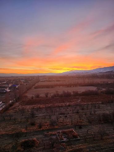 Долгосрочная аренда квартир: 2 комнаты, С мебелью полностью — 10