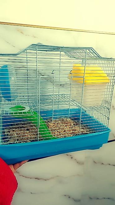 Зоотовары: Клетки для хомяков с комплектом аксессуаров. Варианты: - — 1