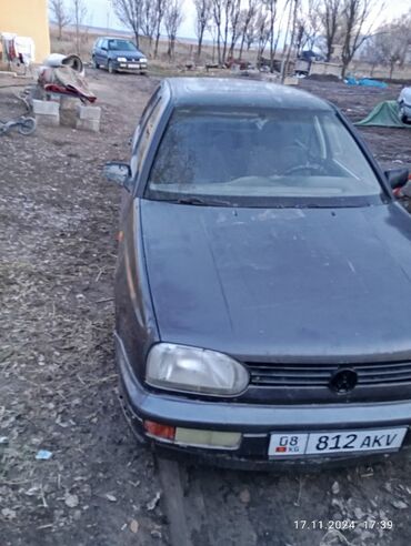 авто гольф: Volkswagen Golf: 1993 г., 1.6 л, Механика, Бензин