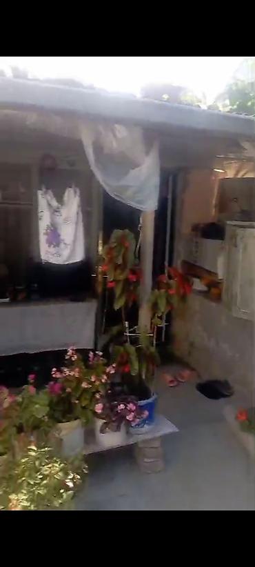 bitki guli: Sabunçuda orta təmirli ev satılır təcili 19 minə istiyən olsa — 2