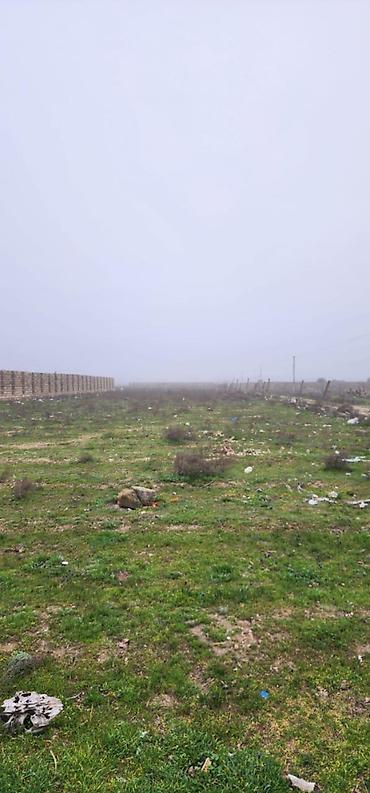 10000 evler: 6 sot, Tikinti, Mülkiyyətçi, Kupça (Çıxarış) — 2
