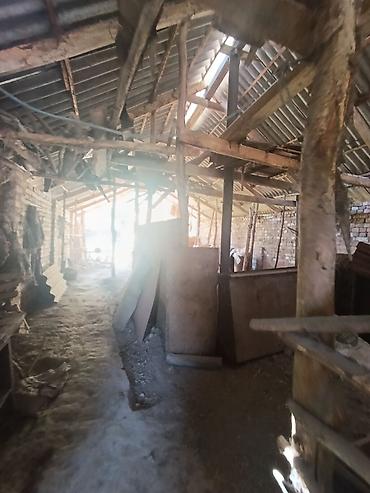 Продажа коттеджей и домов: Дом, 5 комнат, 68 кв.м В селе Петровка продается дом из 5-ти комнат at lalafo.kg — 6 Продажа коттеджей и домов: Дом, 5 комнат, 68 кв.м В селе Петровка продается дом из 5-ти комнат — 6