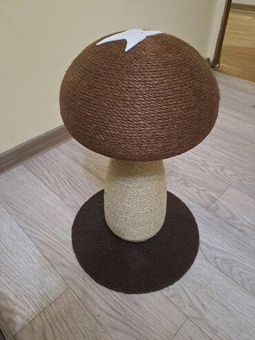 Зоотовары: Зоотовары.
Игрушки для животных — 6