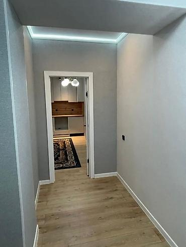 Продажа квартир: 1 комната, 55 м², Элитка, 1 этаж, Евроремонт — 9