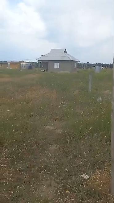 4 соток, Курулуш, Кызыл китеп — 4