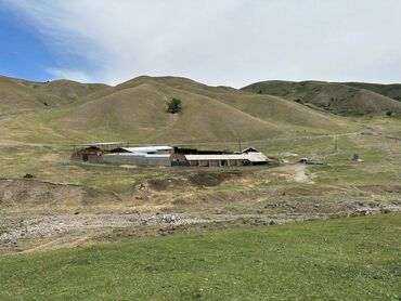 куплю дом бишкек кызыл аскер: Сатам Кой короо, 100 соток, Иштеп жаткан, Жарым-жартылай жабдуулары менен, Электр энергиясы, Муздак суу