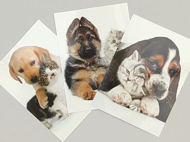 Postcard, condition - Perfect