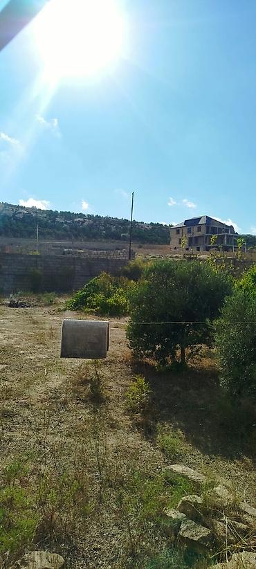 sekide torpaq satilir: 5 sot, Tikinti — 8