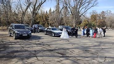 приватной мотор: Кортеж, Кара-Балта, Свадьба, Прокат, Роддом, Мерседес, Гелики, Лексус — 3