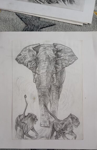 Ostali predmeti za umetnost i kolekcionarstvo: Prodaja crteza,svih dvanaest komada po navedenoj ceni. Angelina samo — 12