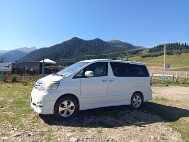 адаптер type c: Белый минивэн Toyota Alphard, 2007
3 .Бензин