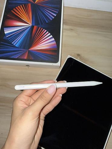 macbook 2017: IPad Pro 12.9" (5‑е поколение) Wi‑Fi, 512 ГБ, Space Gray + Apple — 5